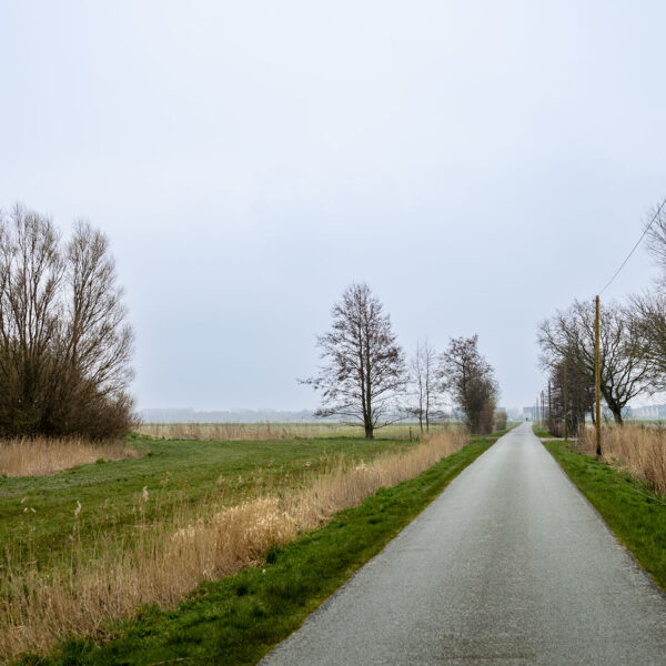 Erlebe Büsum, Kreis Dithmarschen, Schleswig-Holstein, Nordsee