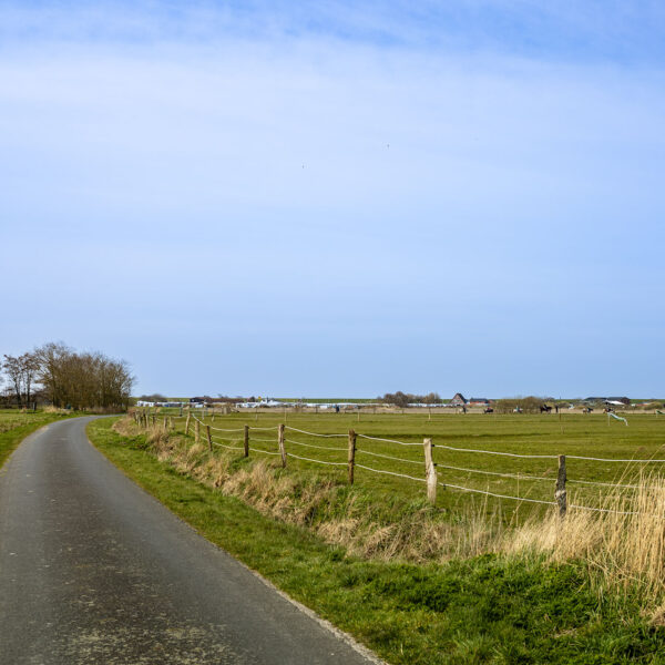 Erlebe Büsum, Kreis Dithmarschen, Schleswig-Holstein, Nordsee