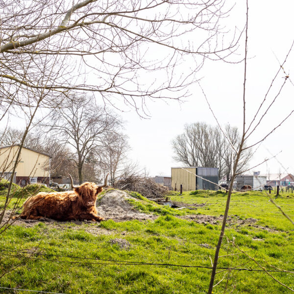 Erlebe Büsum, Kreis Dithmarschen, Schleswig-Holstein, Nordsee