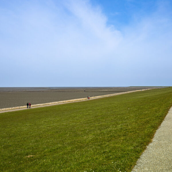 Erlebe Büsum, Kreis Dithmarschen, Schleswig-Holstein, Nordsee