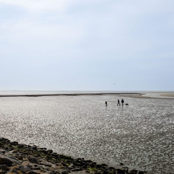 Erlebe Büsum, Kreis Dithmarschen, Schleswig-Holstein, Nordsee