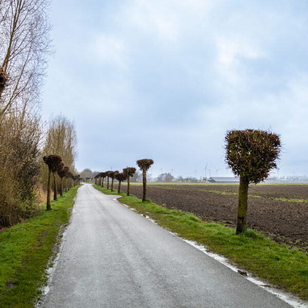 Erlebe Büsum, Kreis Dithmarschen, Schleswig-Holstein, Nordsee