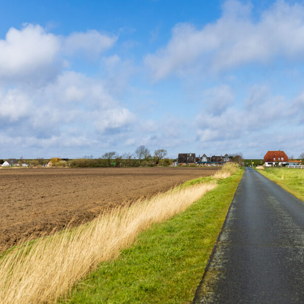 Erlebe Büsum, Kreis Dithmarschen, Schleswig-Holstein, Nordsee