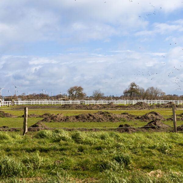 Erlebe Büsum, Kreis Dithmarschen, Schleswig-Holstein, Nordsee