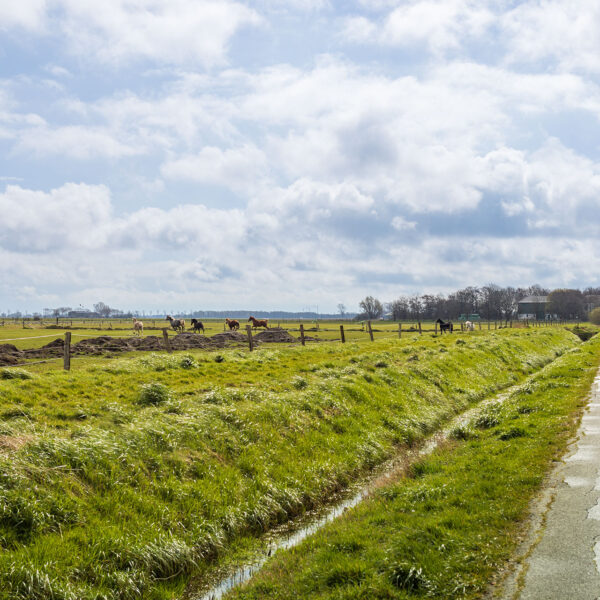 Erlebe Büsum, Kreis Dithmarschen, Schleswig-Holstein, Nordsee