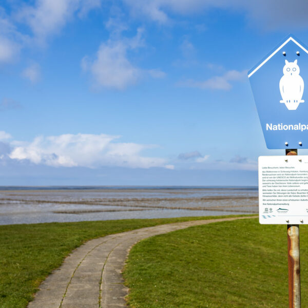 Erlebe Büsum, Kreis Dithmarschen, Schleswig-Holstein, Nordsee