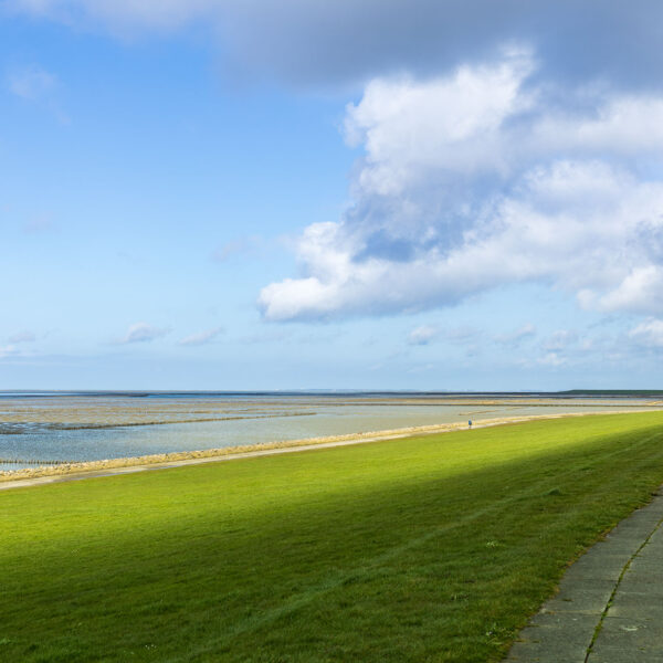 Erlebe Büsum, Kreis Dithmarschen, Schleswig-Holstein, Nordsee