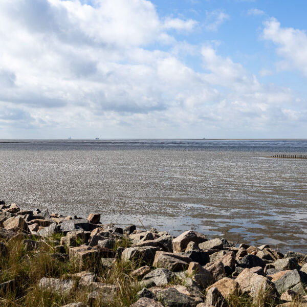 Erlebe Büsum, Kreis Dithmarschen, Schleswig-Holstein, Nordsee