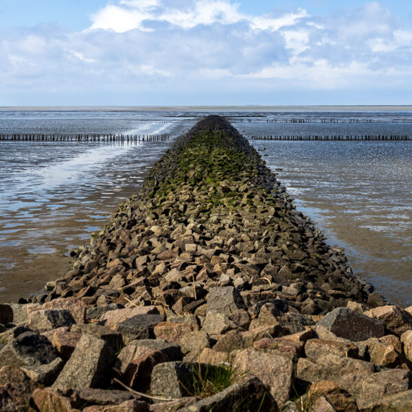 Erlebe Büsum, Kreis Dithmarschen, Schleswig-Holstein, Nordsee