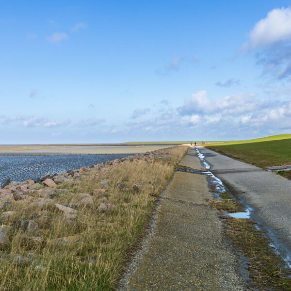 Erlebe Büsum, Kreis Dithmarschen, Schleswig-Holstein, Nordsee