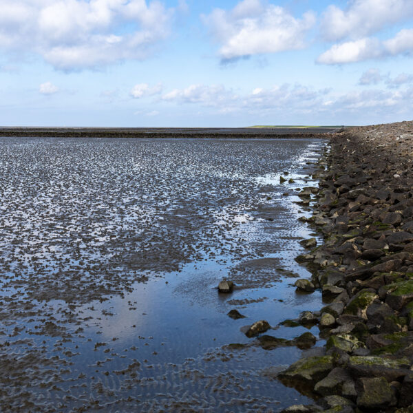 Erlebe Büsum, Kreis Dithmarschen, Schleswig-Holstein, Nordsee