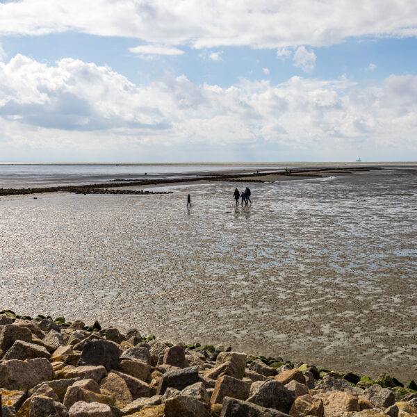 Erlebe Büsum, Kreis Dithmarschen, Schleswig-Holstein, Nordsee