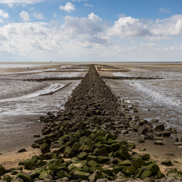 Erlebe Büsum, Kreis Dithmarschen, Schleswig-Holstein, Nordsee