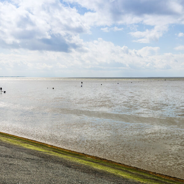 Erlebe Büsum, Kreis Dithmarschen, Schleswig-Holstein, Nordsee