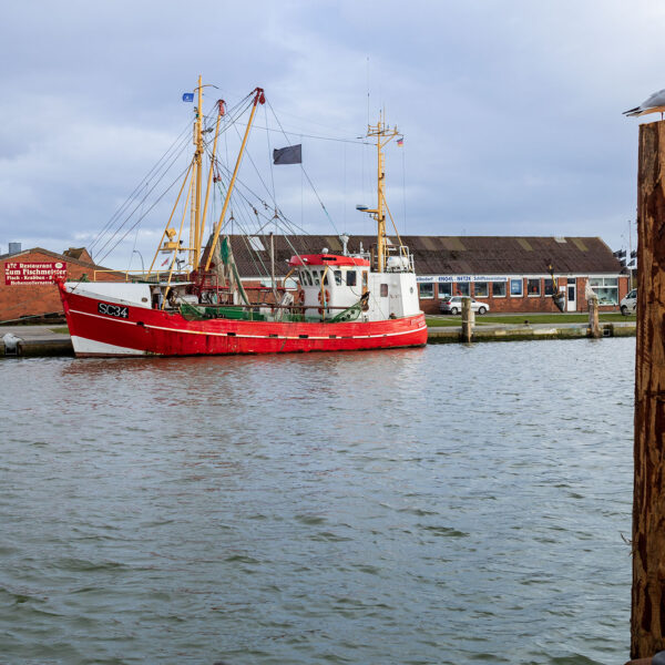 Erlebe Büsum, Kreis Dithmarschen, Schleswig-Holstein, Nordsee