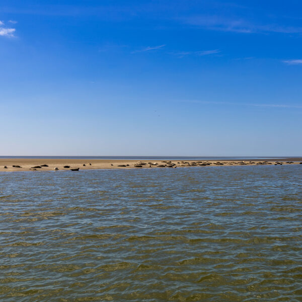 Erlebe Büsum, Kreis Dithmarschen, Schleswig-Holstein, Nordsee