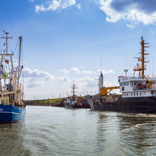 Erlebe Büsum, Kreis Dithmarschen, Schleswig-Holstein, Nordsee