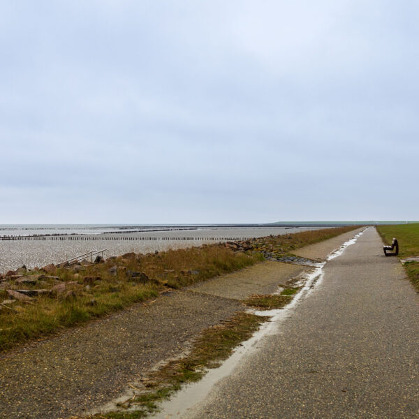 Erlebe Büsum, Kreis Dithmarschen, Schleswig-Holstein, Nordsee