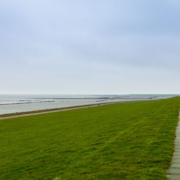 Erlebe Büsum, Kreis Dithmarschen, Schleswig-Holstein, Nordsee