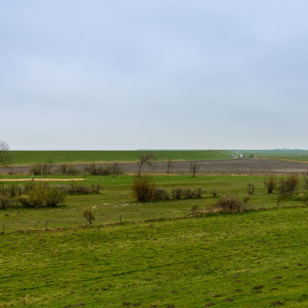 Erlebe Büsum, Kreis Dithmarschen, Schleswig-Holstein, Nordsee